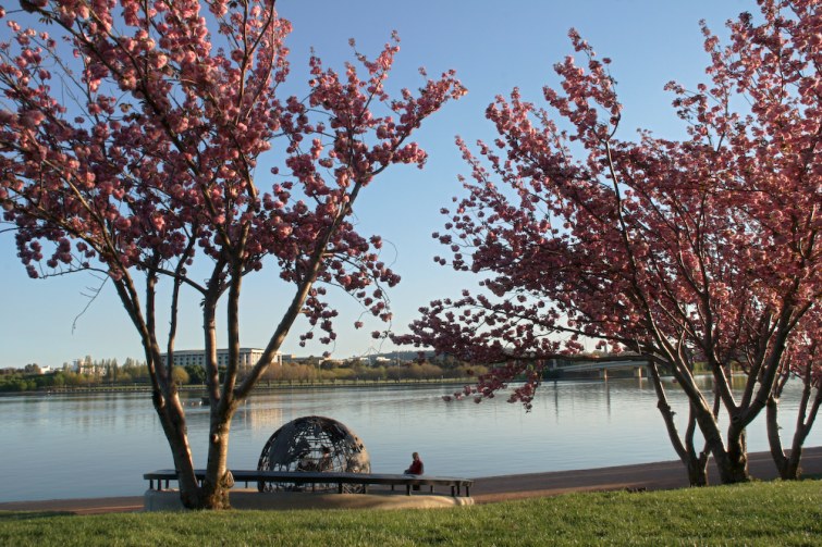 lake view.jpg